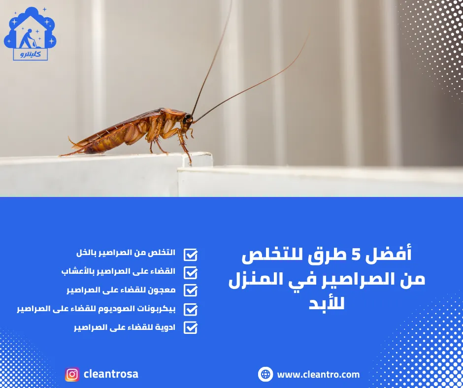 أفضل 5 طرق للتخلص من الصراصير في المنزل للأبد