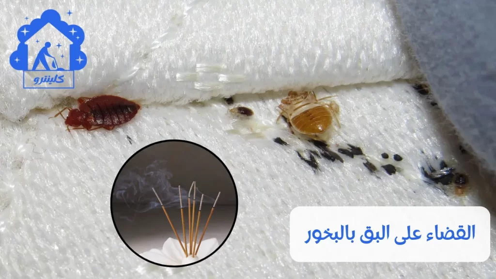 القضاء على البق بالبخور