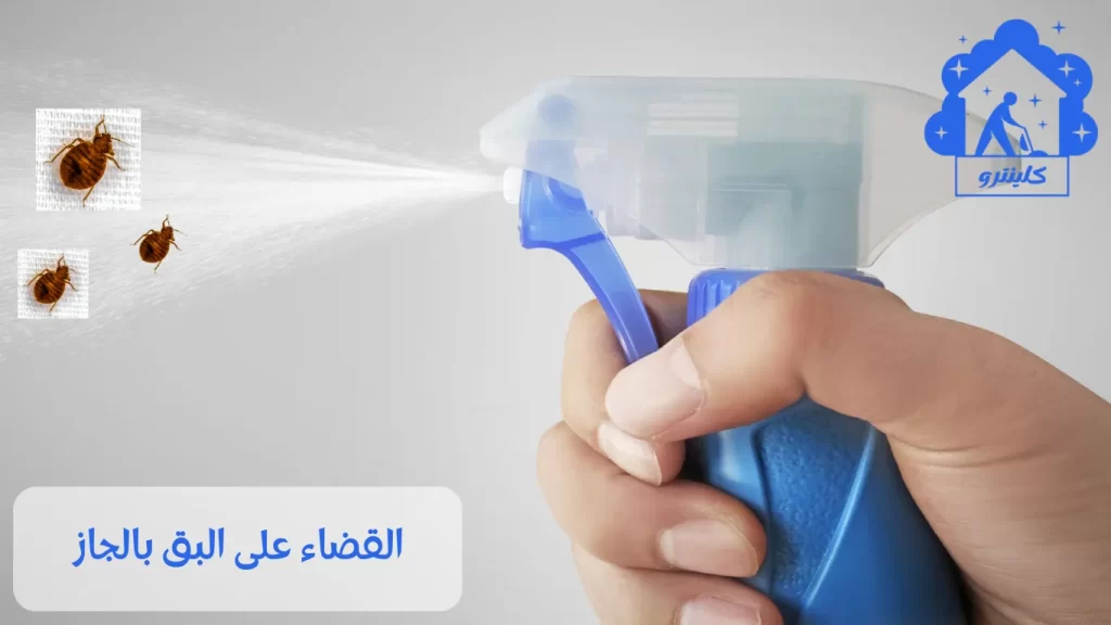 القضاء على البق بالجاز