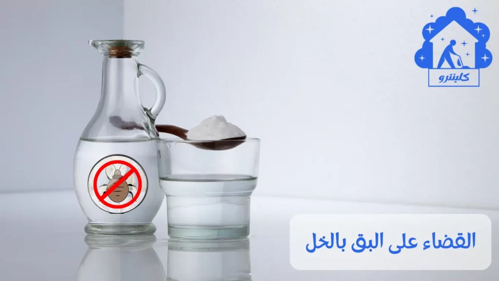 القضاء على البق بالخل