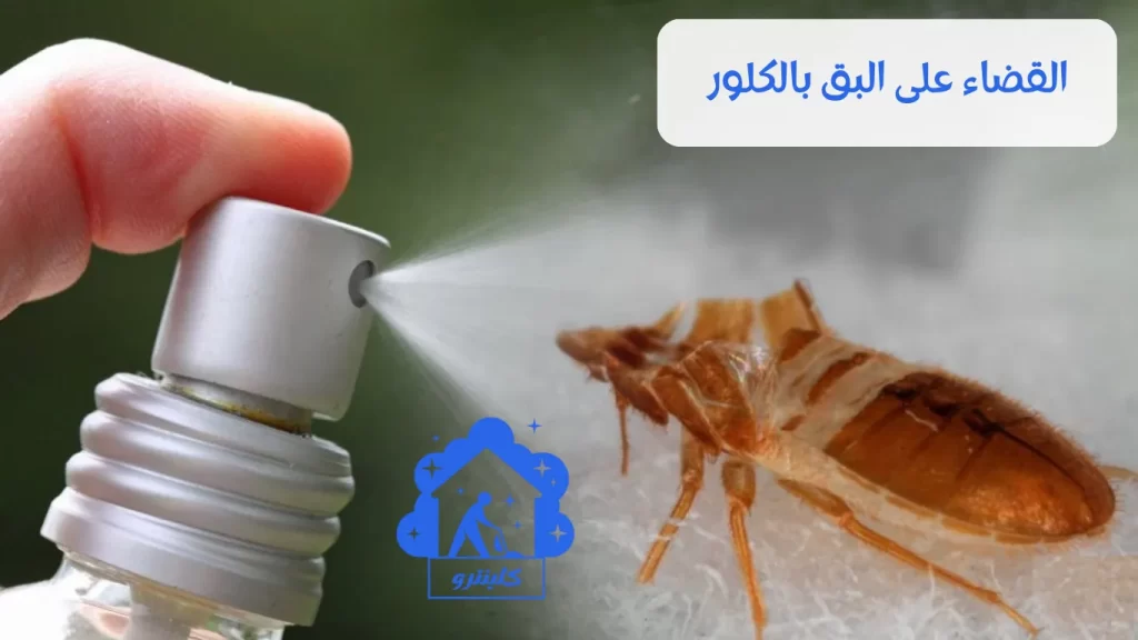 القضاء على البق بالكلور