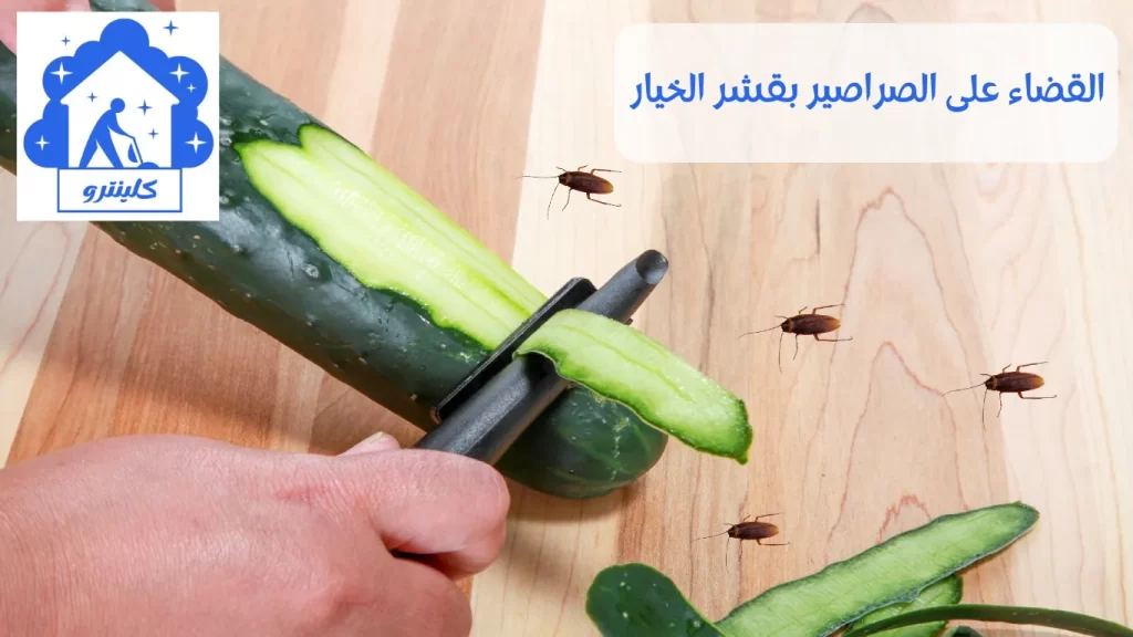 القضاء على الصراصير بقشر الخيار
