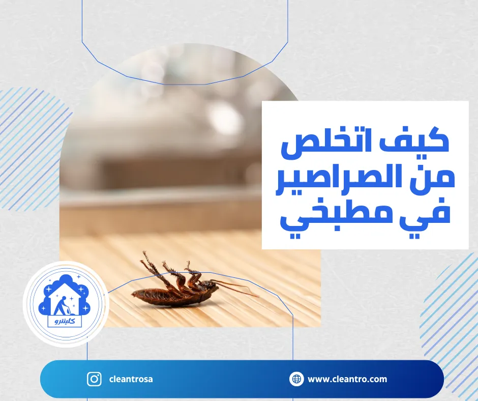 كيف اتخلص من الصراصير في مطبخي