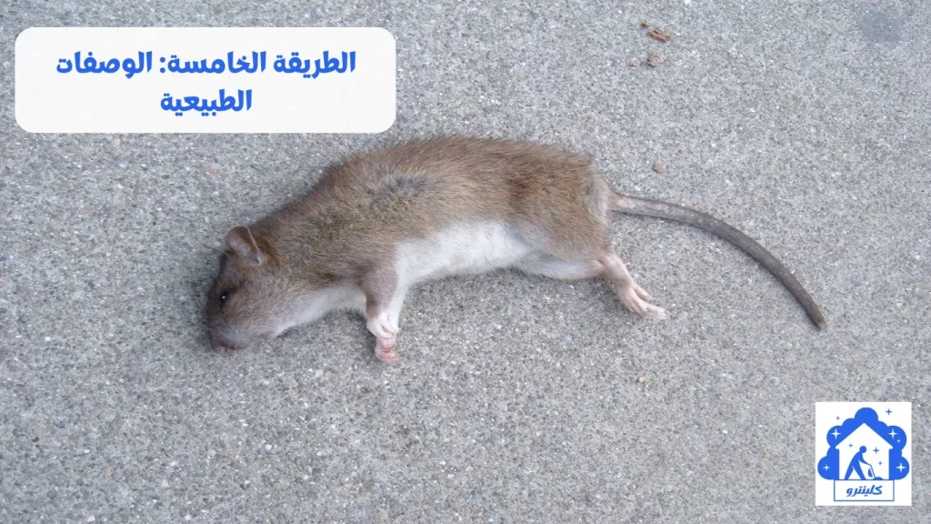 الطريقة الخامسة