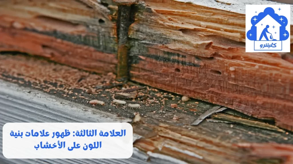 العلامة الثالثة