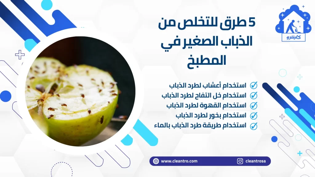5 طرق للتخلص من الذباب الصغير في المطبخ