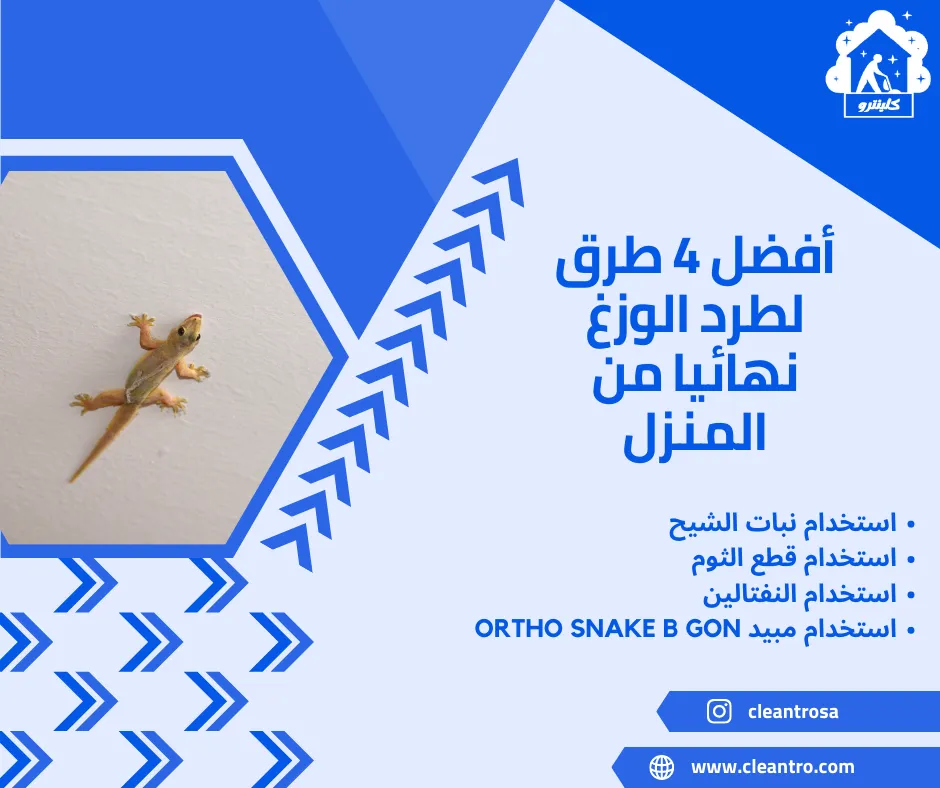 أفضل 4 طرق لطرد الوزغ نهائيا من المنزل
