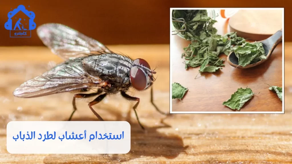 استخدام أعشاب لطرد الذباب