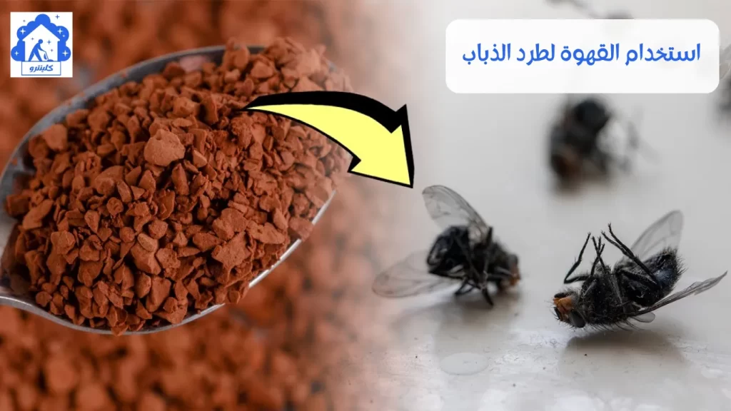 استخدام القهوة لطرد الذباب