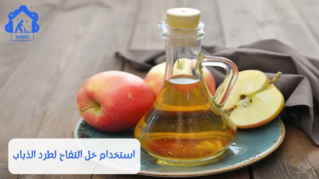 استخدام خل التفاح لطرد الذباب