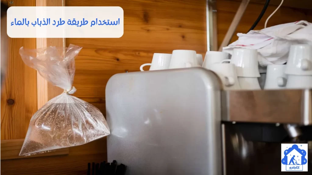 استخدام طريقة طرد الذباب بالماء