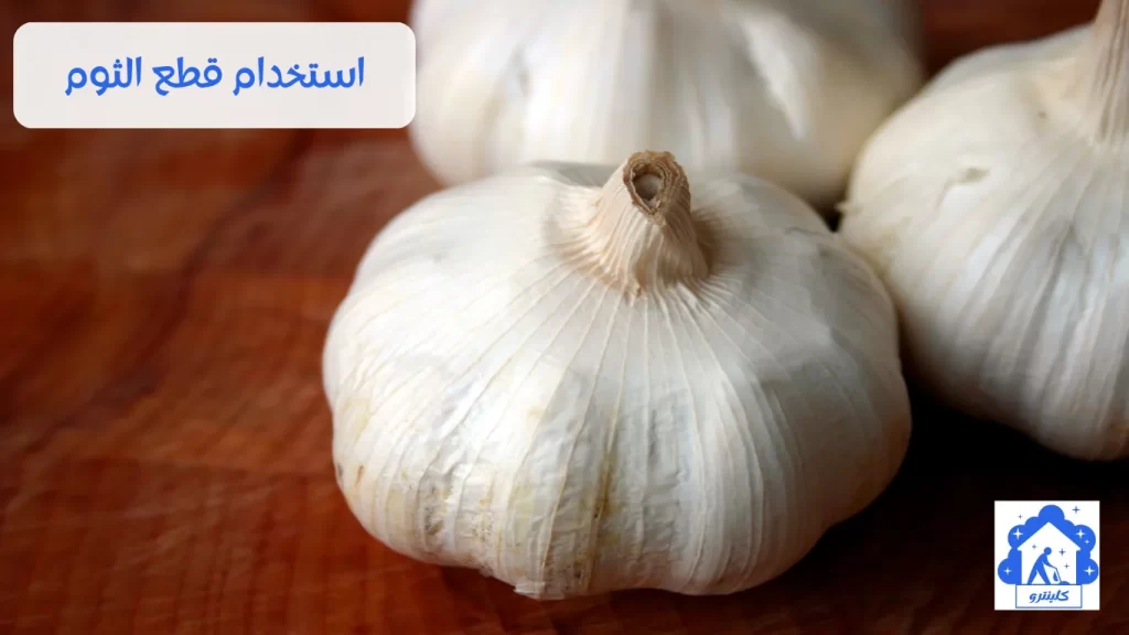 استخدام قطع الثوم لطرد الوزغ