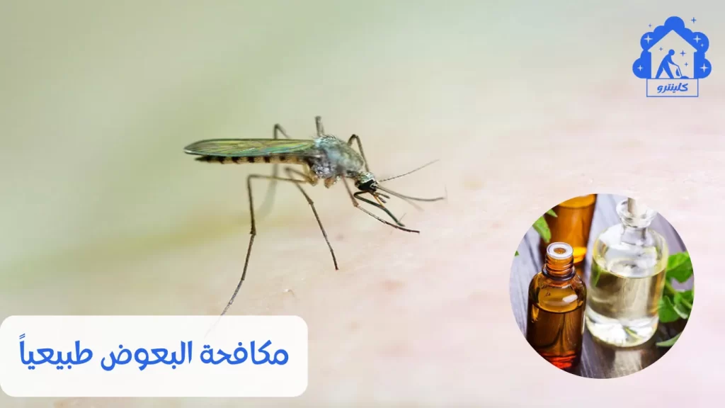 مكافحة البعوض طبيعياً