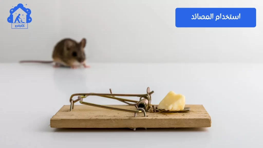 استخدام المصائد للتخلص من الجرذان