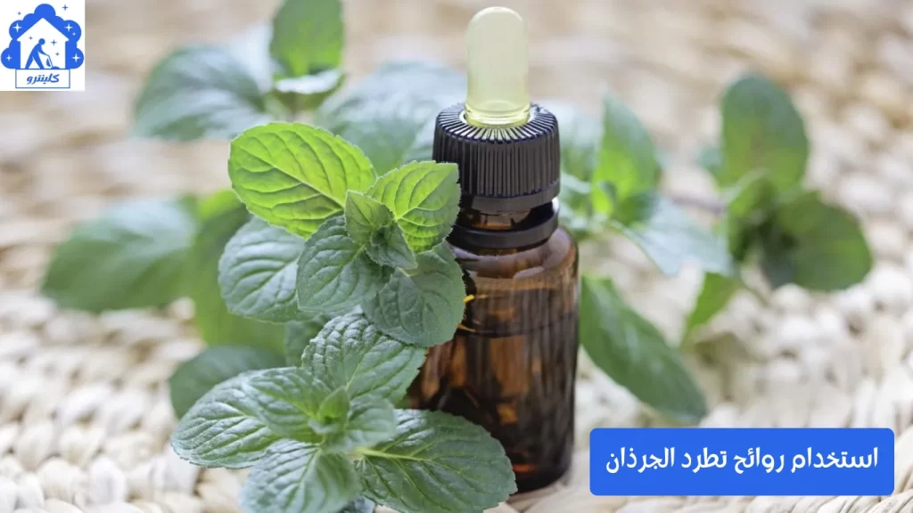 استخدام روائح تطرد الجرذان