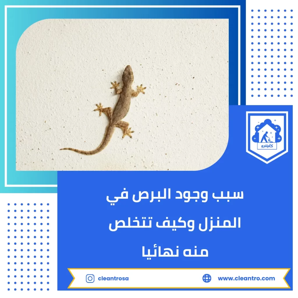 سبب وجود البرص في المنزل وكيف تتخلص منه نهائيا
